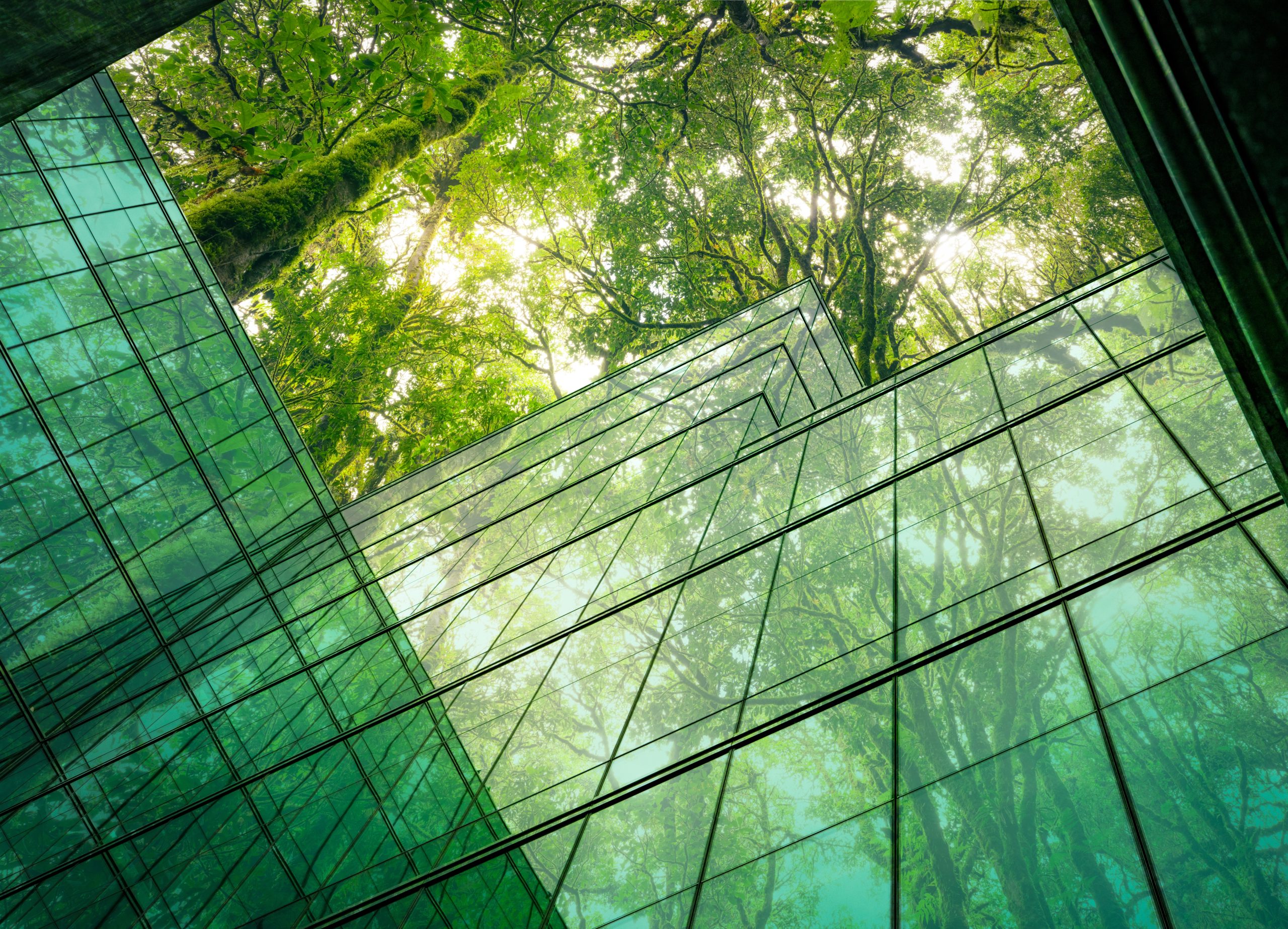 eco friendly,building,in,the,modern,city.,sustainable,glass,office,building