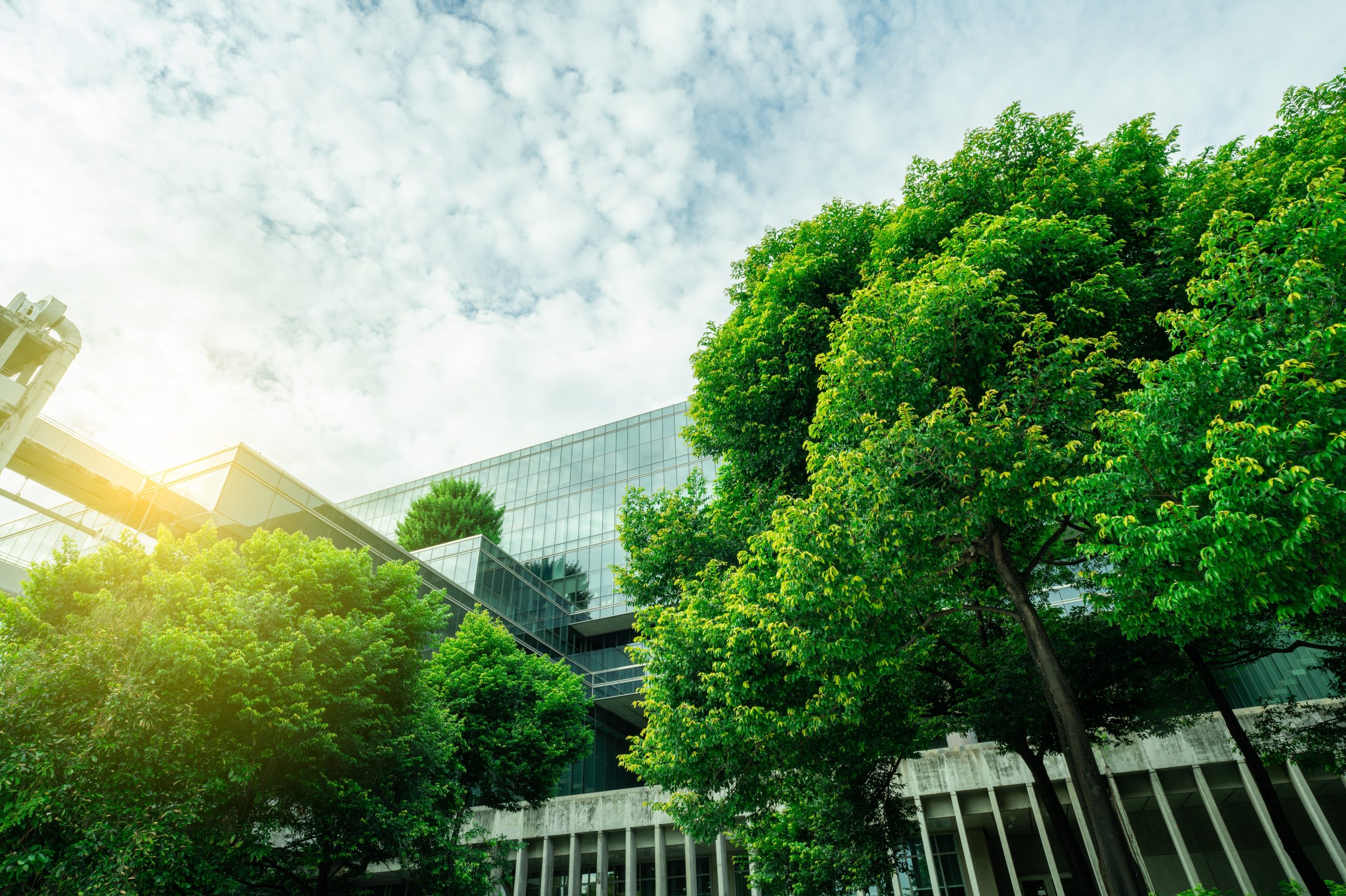 sustainable,green,building.,eco friendly,building.,sustainable,glass,office,building,with