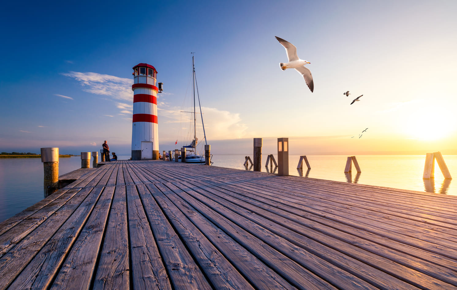 Faro