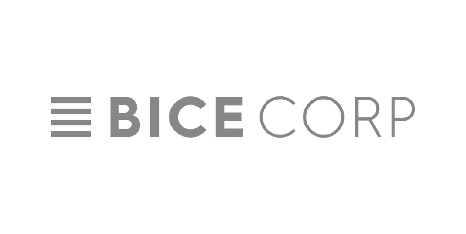 bicecorp